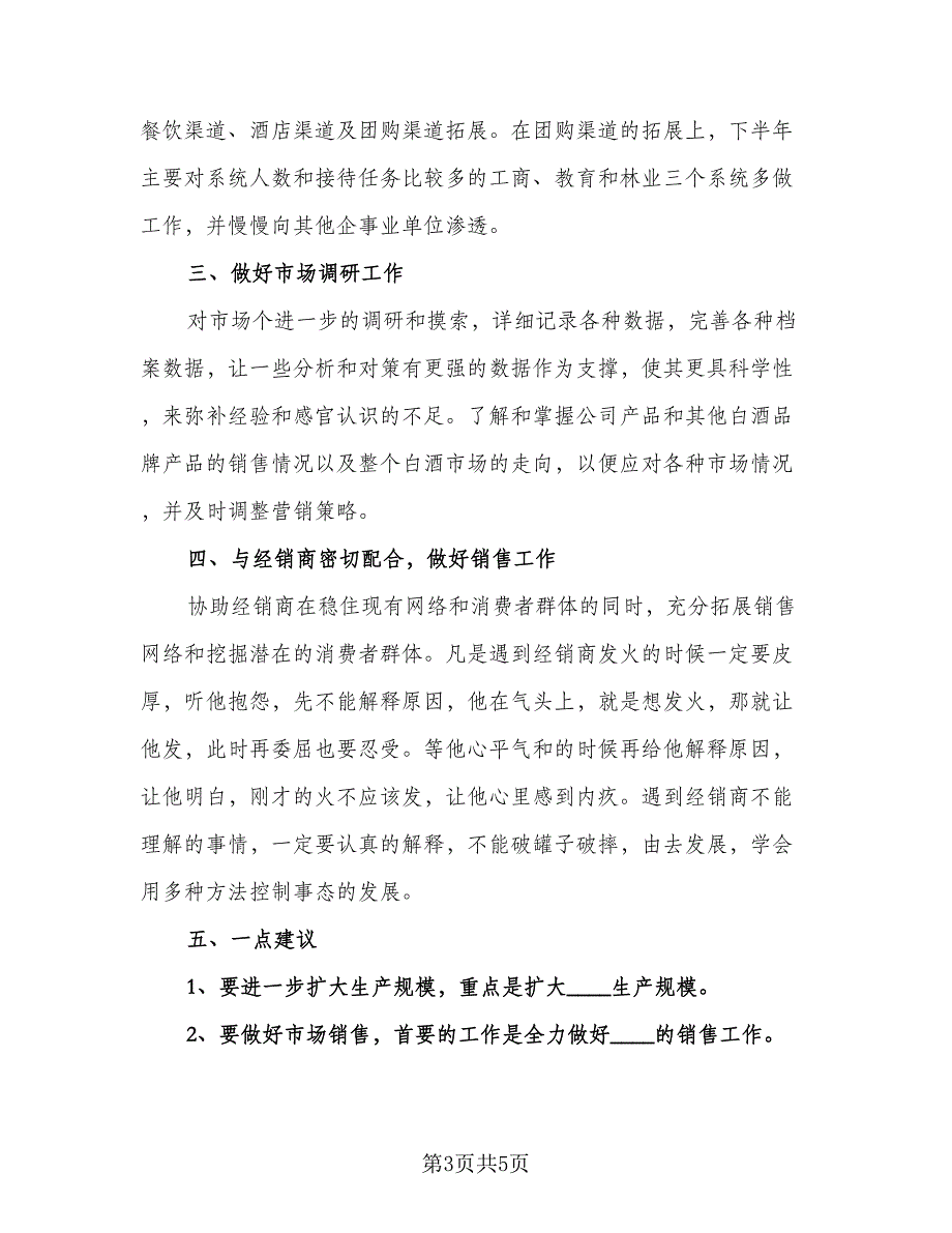 优秀销售下半年计划范本（三篇）_第3页