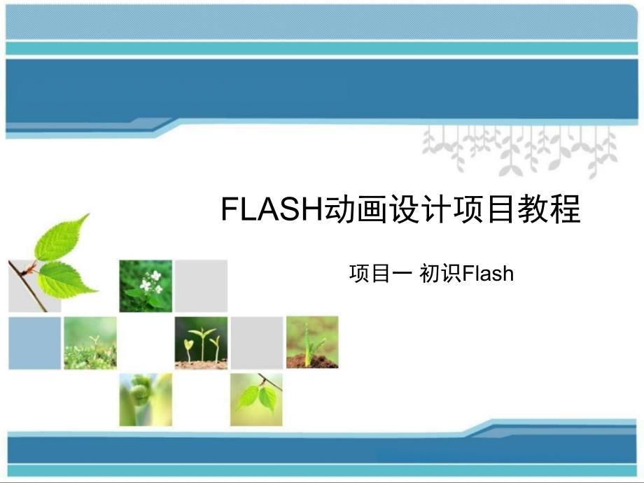 Flash动画设计项目教程(项目一初识Flash).ppt_第1页