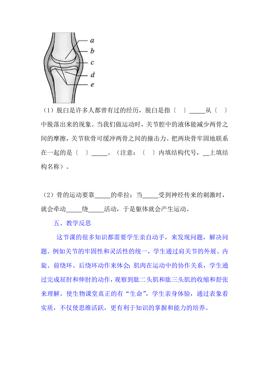 第二章第一节动物的运动教学设计.doc_第4页