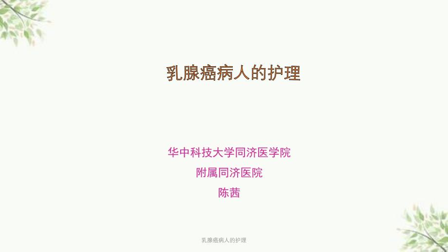 乳腺癌病人的护理课件_第1页