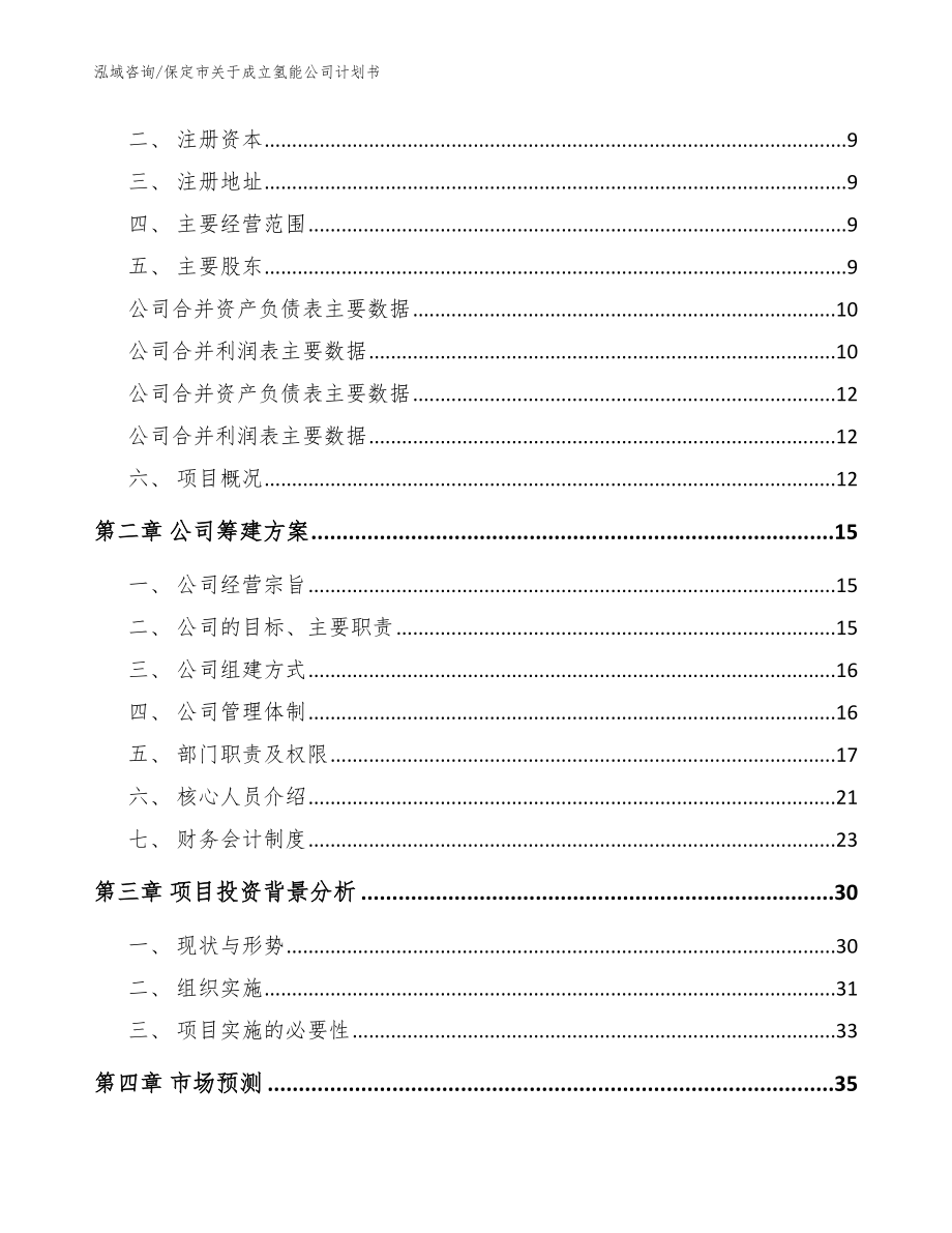 保定市关于成立氢能公司计划书【参考模板】_第4页