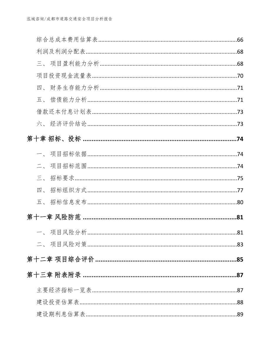 成都市道路交通安全项目分析报告范文_第5页