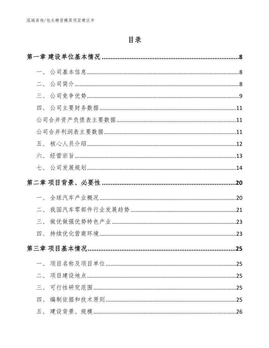 包头精密模具项目建议书【模板参考】_第2页