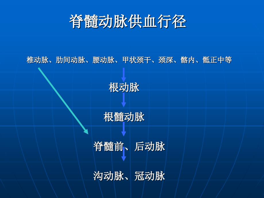 脊髓的血管及脊髓血管畸形课件_第2页