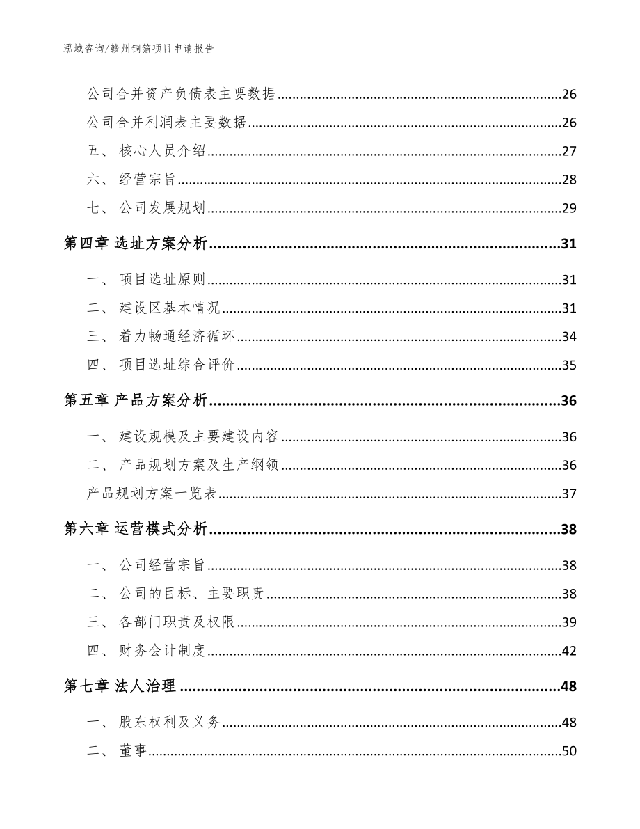 赣州铜箔项目申请报告参考模板_第2页