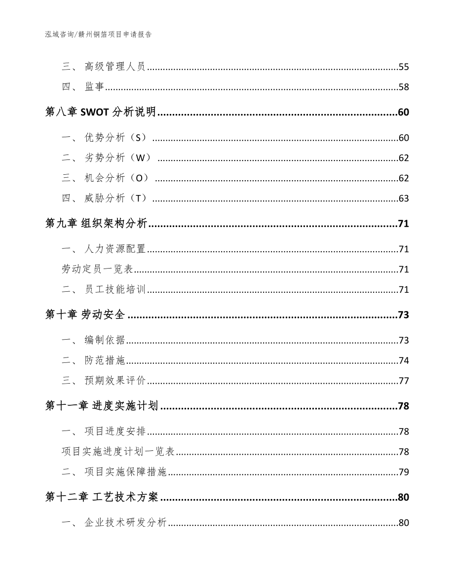 赣州铜箔项目申请报告参考模板_第3页