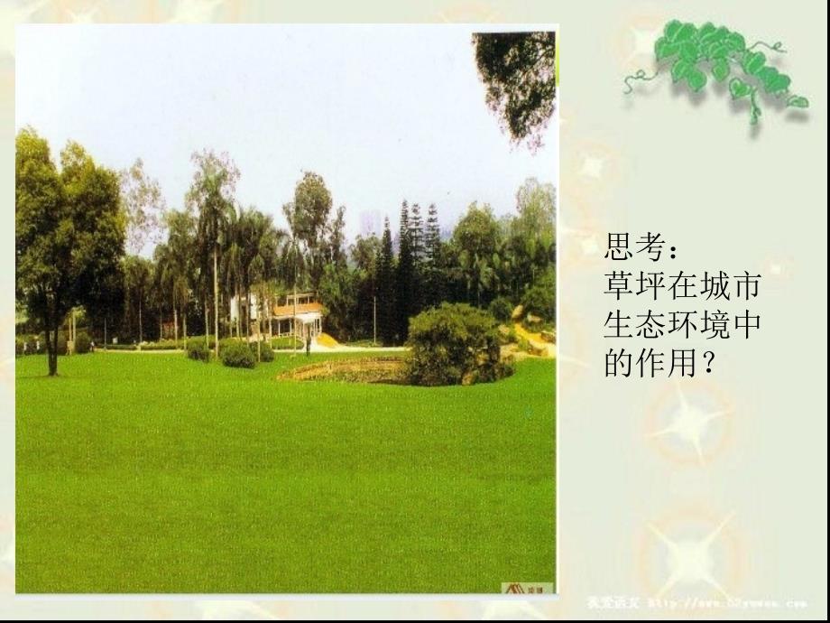 如何看待我国西北地区城市引进欧洲冷季型草坪_第2页