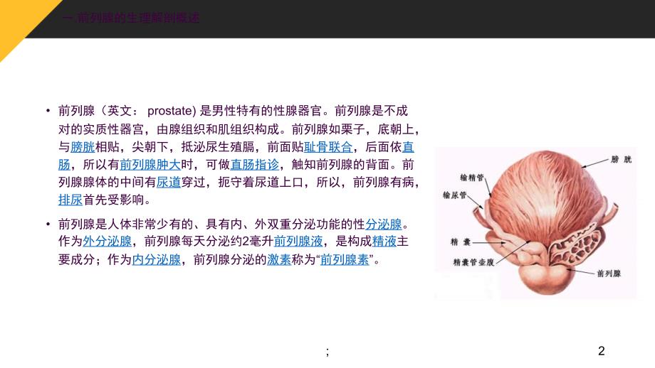 腔镜前列腺癌根治手术配合ppt课件_第2页