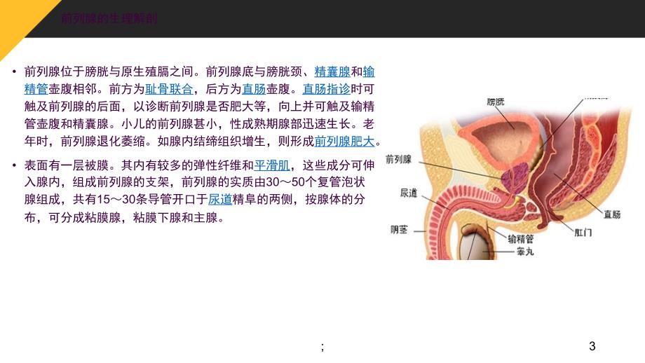 腔镜前列腺癌根治手术配合ppt课件_第3页