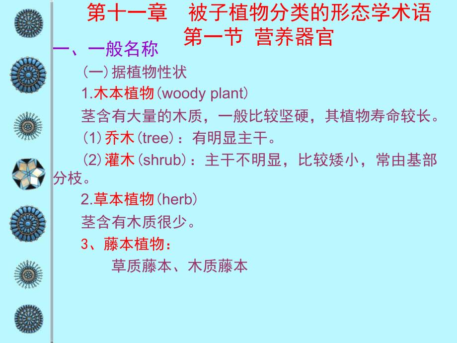 被子植物分类的形态学术语_第1页