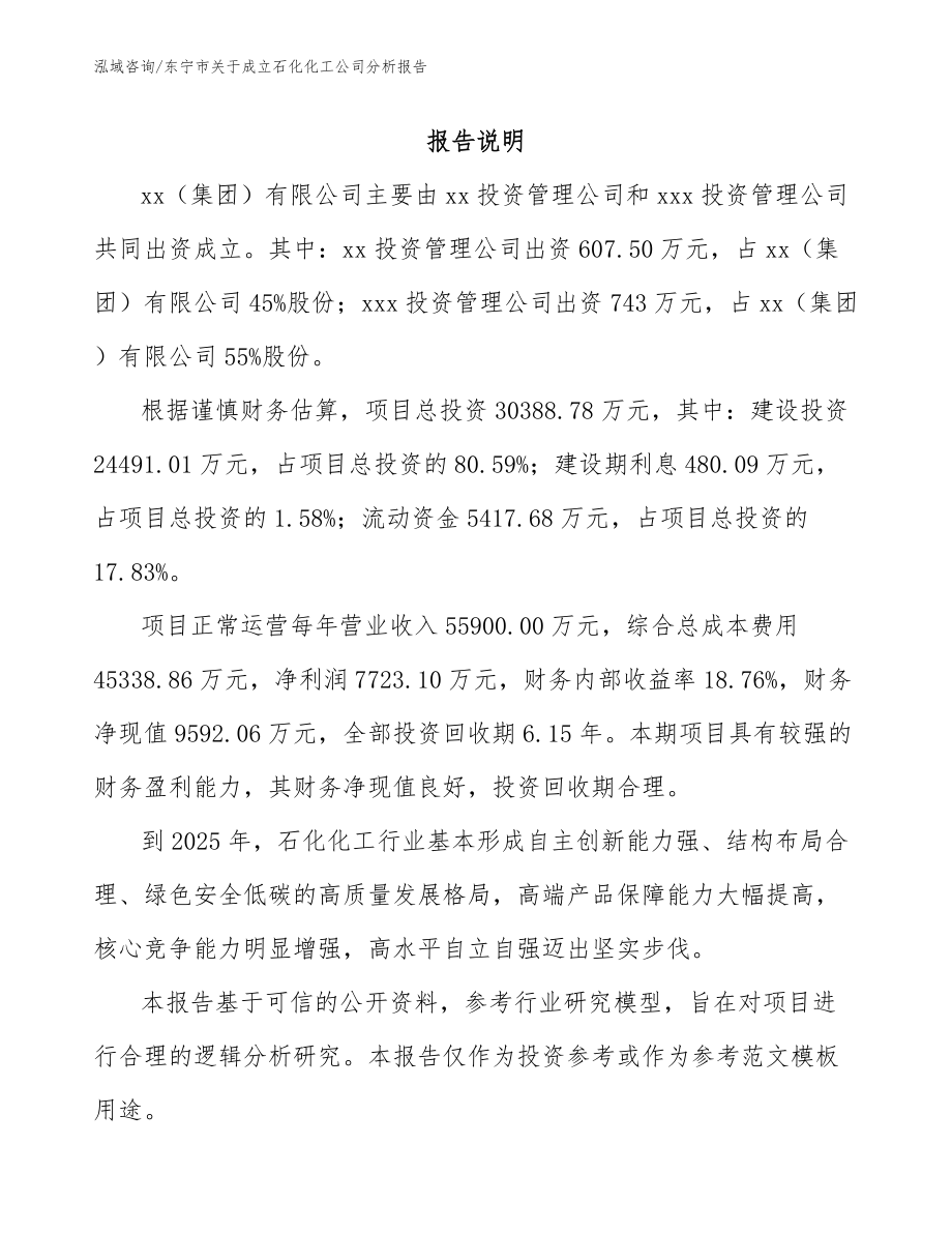 东宁市关于成立石化化工公司分析报告_第2页