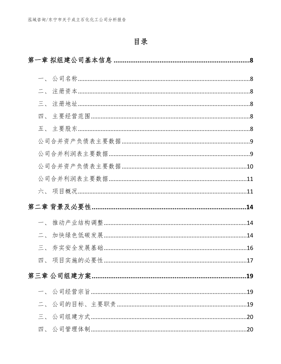 东宁市关于成立石化化工公司分析报告_第3页