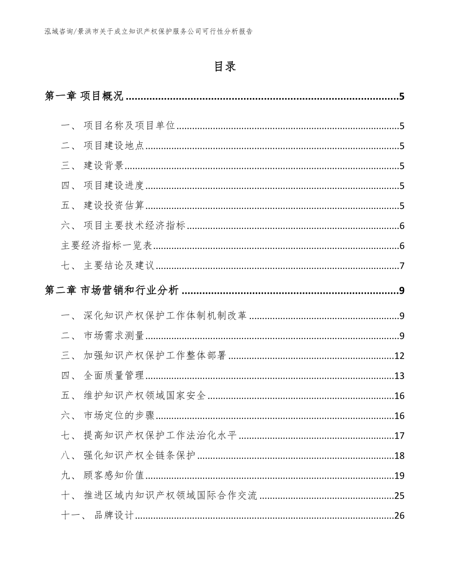 景洪市关于成立知识产权保护服务公司可行性分析报告模板范本_第1页