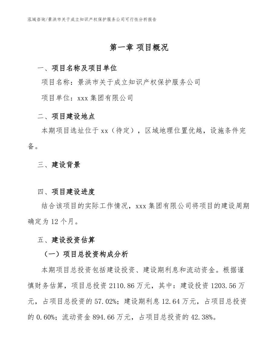 景洪市关于成立知识产权保护服务公司可行性分析报告模板范本_第5页