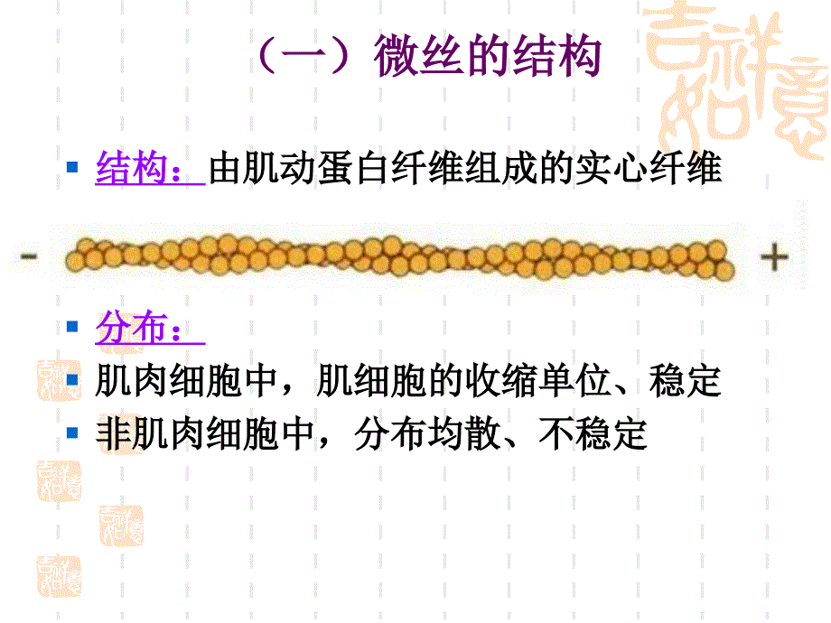 最新：医学细胞生物学细胞骨架文档资料_第2页