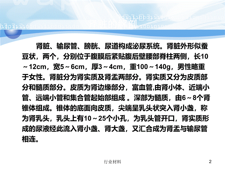 肾性水肿课件【专业研究】_第2页