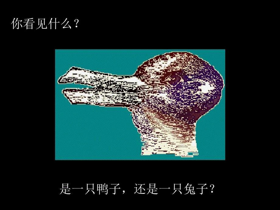 田小玲观察中的发现_第5页