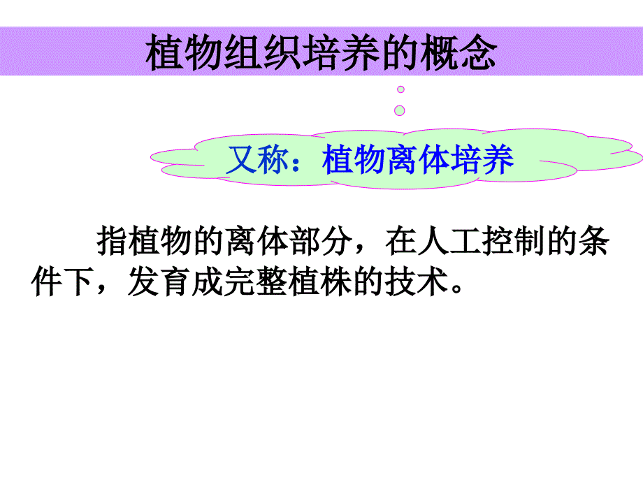 菊花组织培养课件_第4页