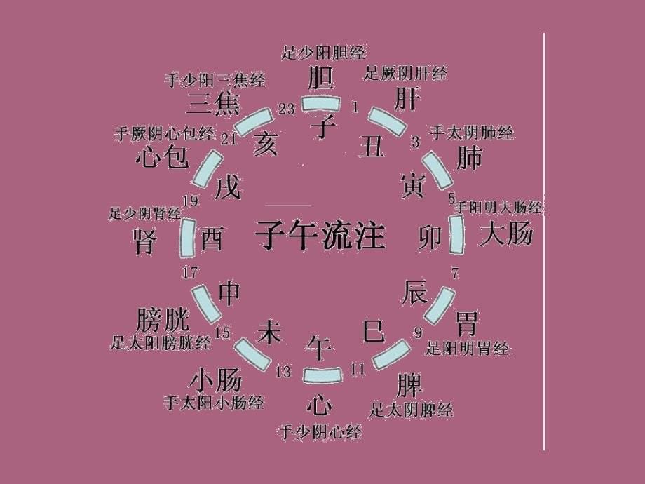 中医救急常识.ppt课件_第5页