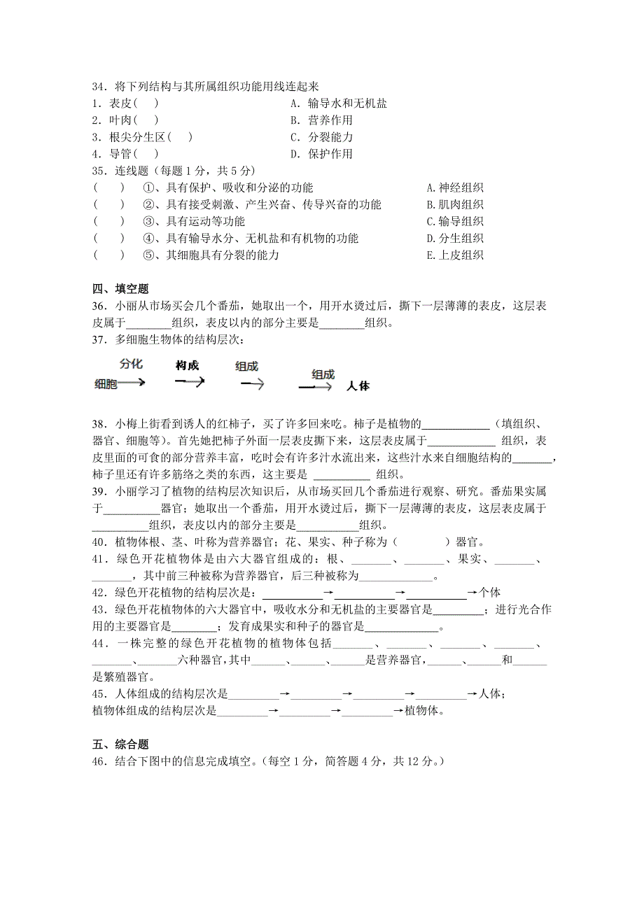 专题：植物体的结构层次_第3页