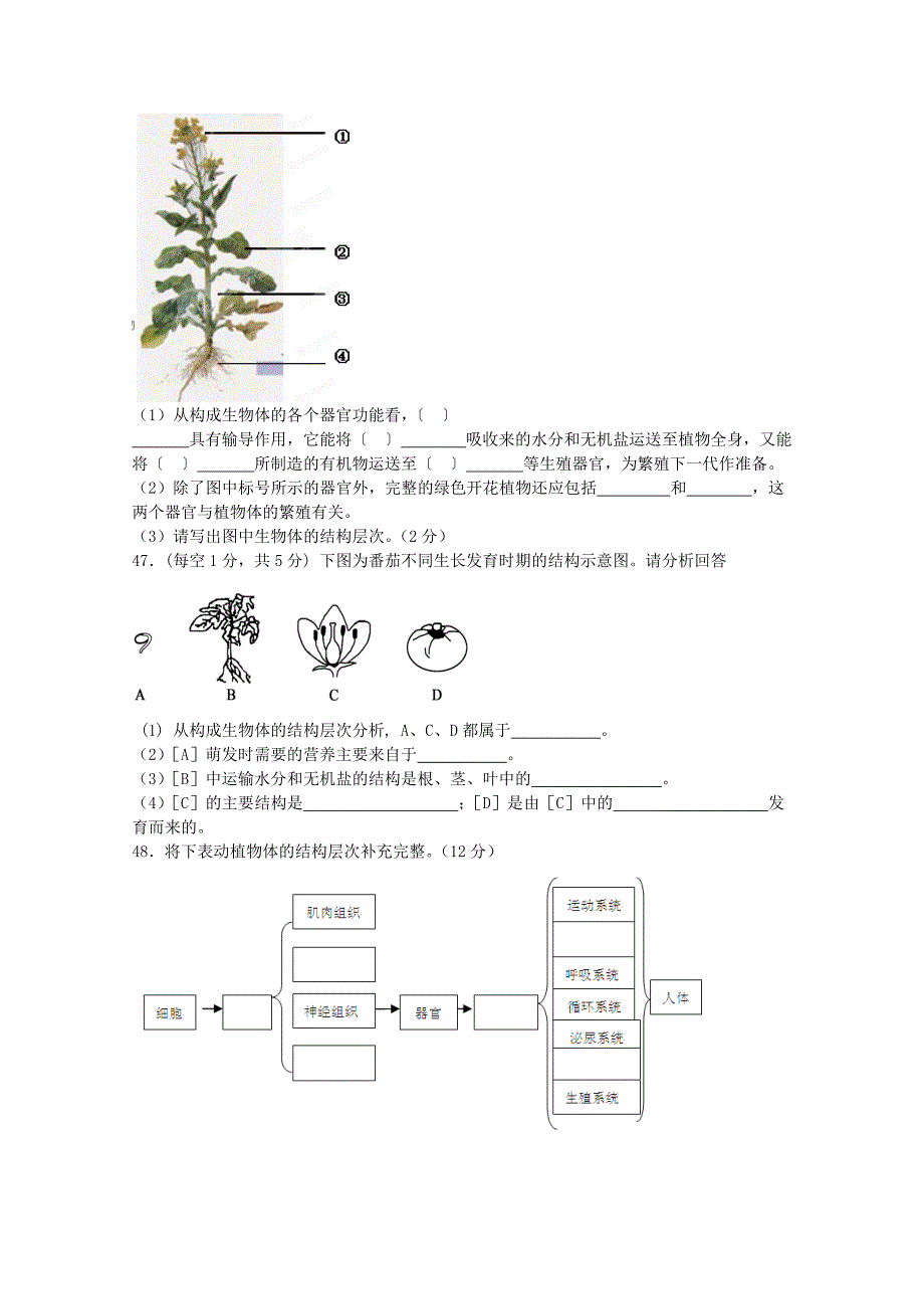 专题：植物体的结构层次_第4页