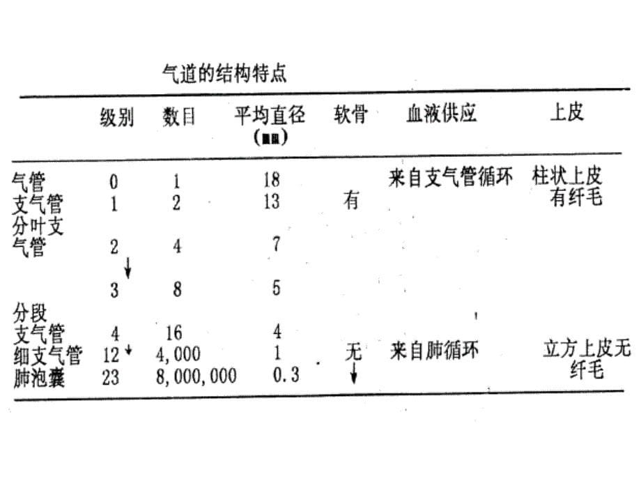 麻醉与呼吸(含四个文档)分解_第5页