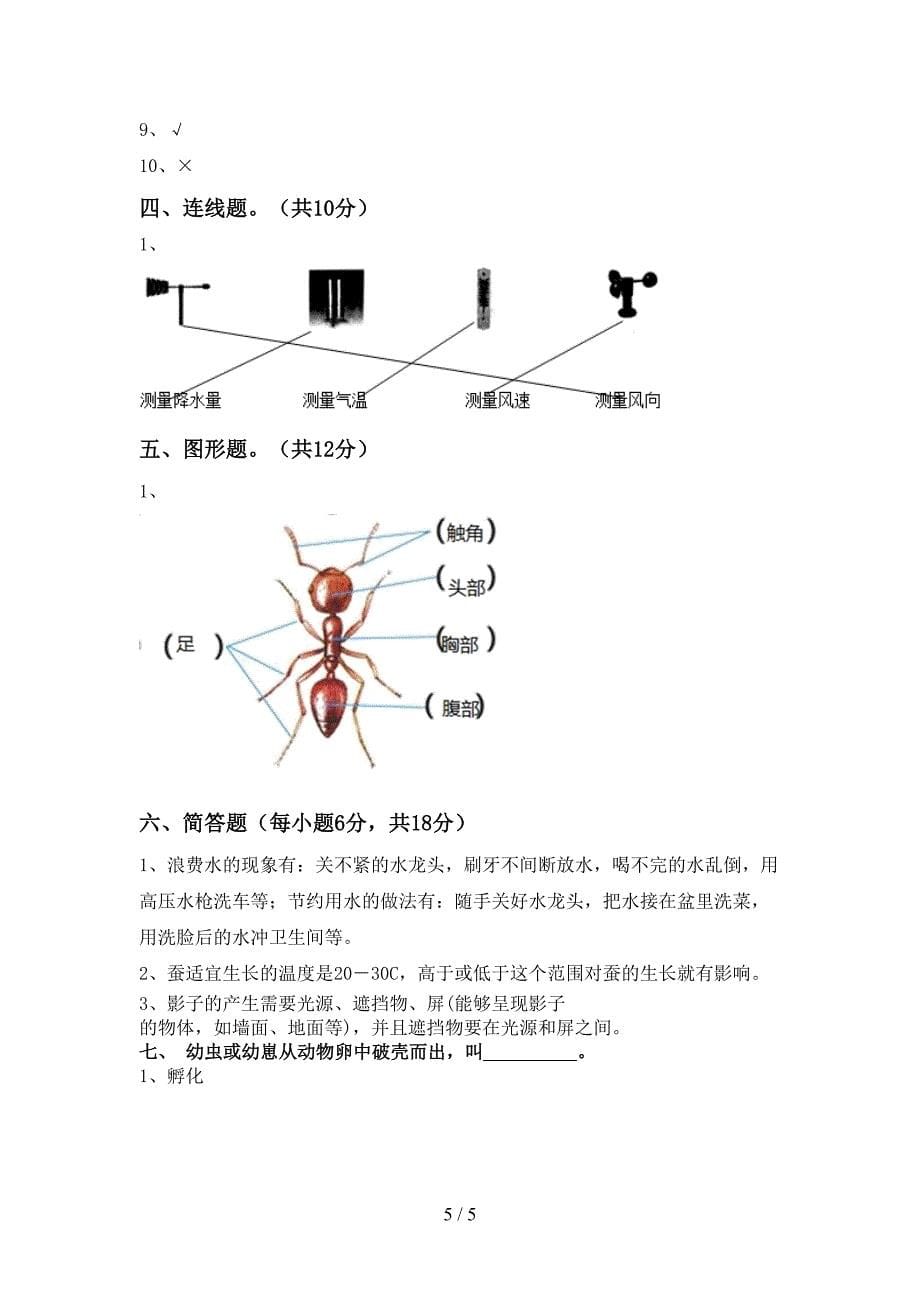 新教科版三年级科学上册期中测试卷及答案免费.doc_第5页