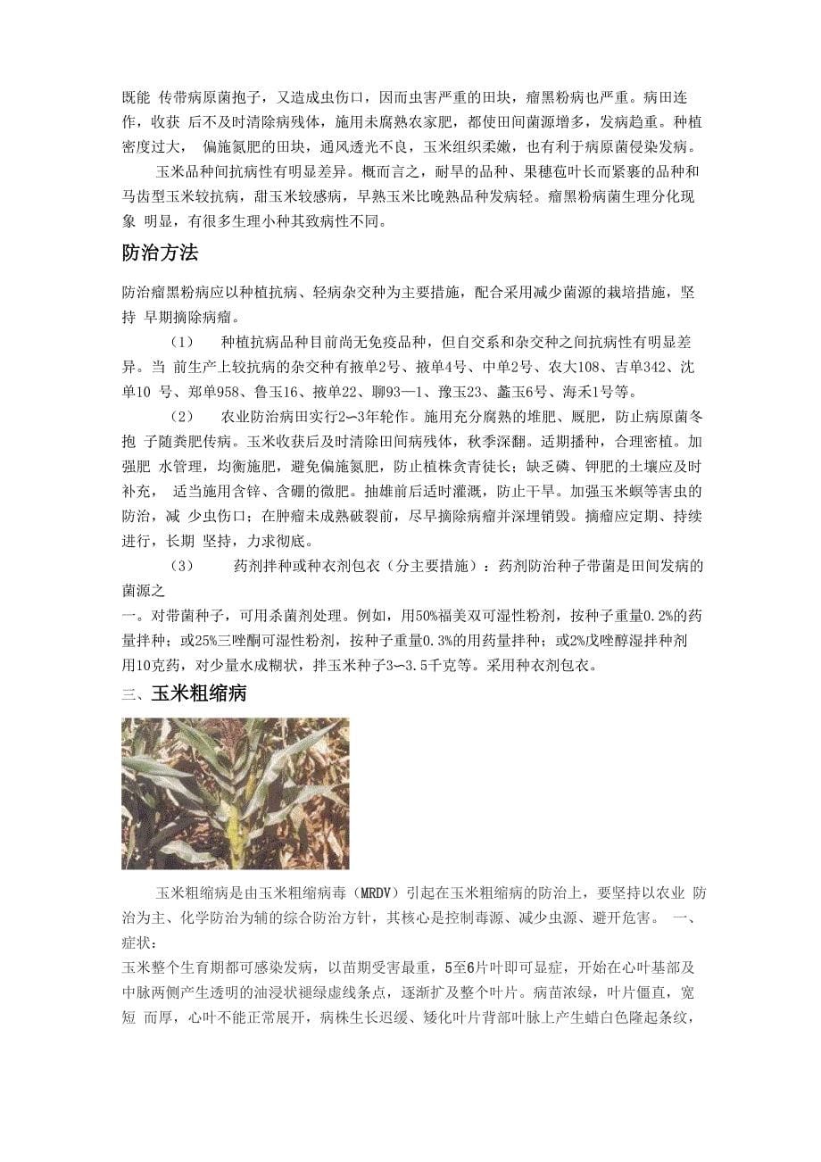 玉米病虫害防治_第5页