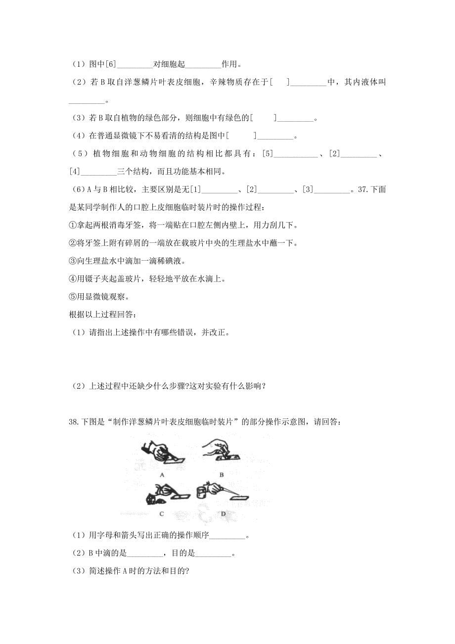 七年级生物上册2.3.1细胞的基本结构和功能同步练习新版新人教版_第5页