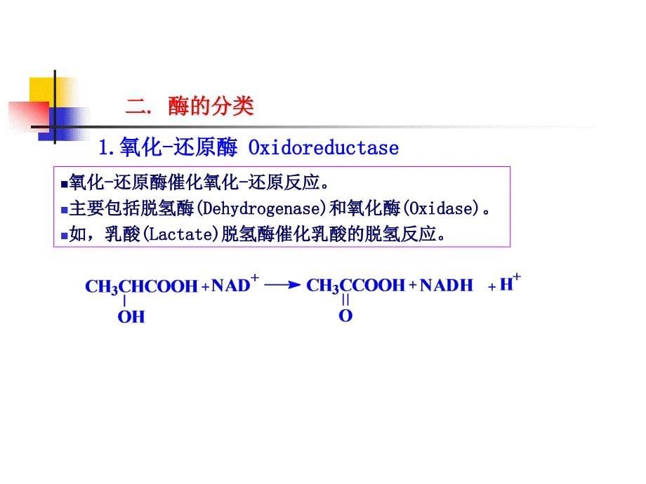 生物化学第四章酶_第5页