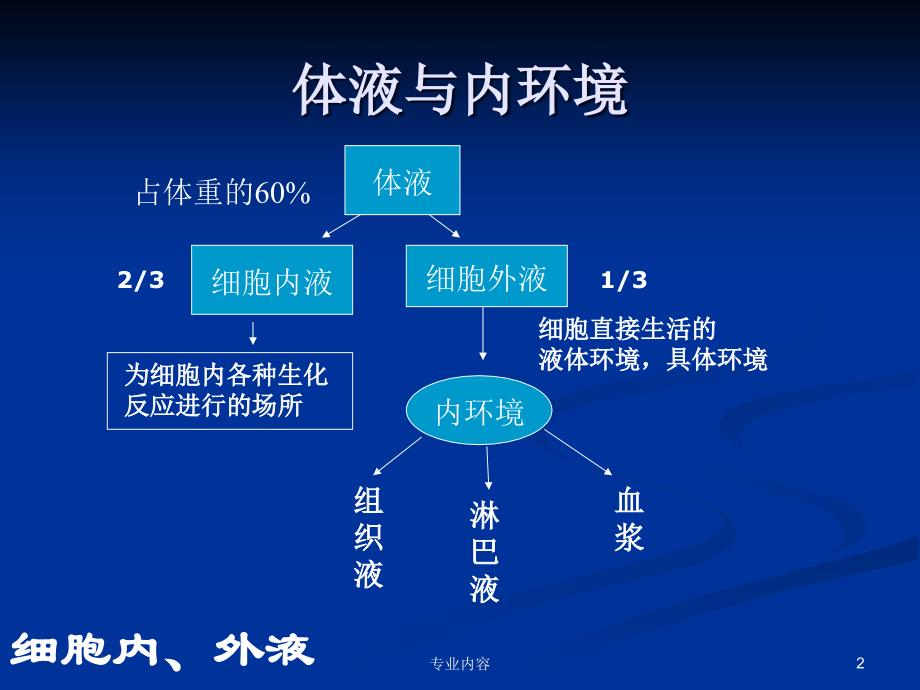 血液凝血血型荟萃材料_第2页