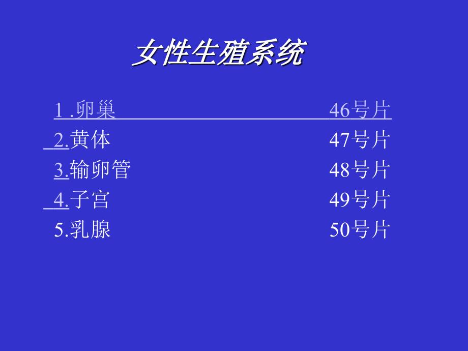 组织胚胎学实验：女性生殖系统_第1页