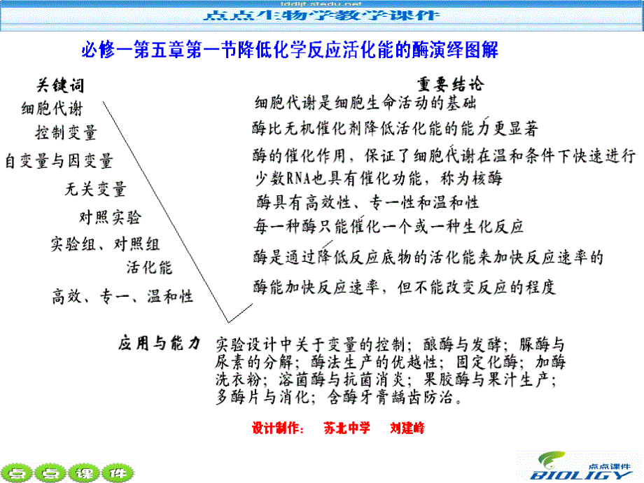 必修一第五章第一节降低化学反应活化能的酶_第2页