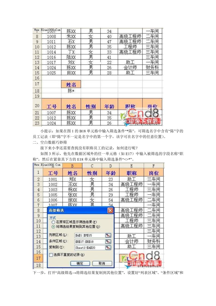 Excel高级筛选条件区域设置.doc_第2页