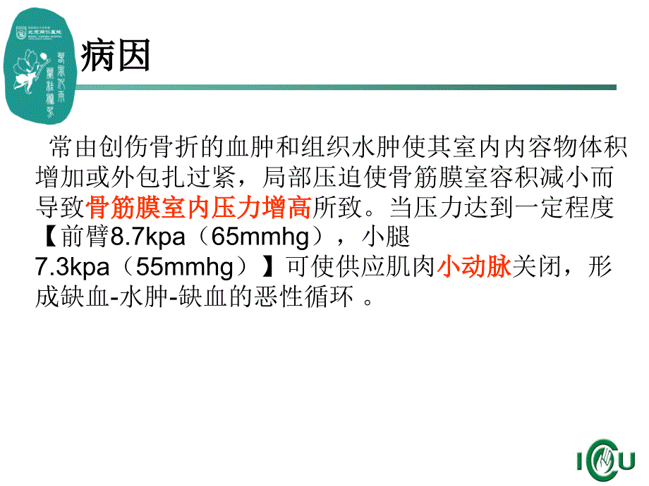 骨筋膜室呢综合症ppt课件_第3页