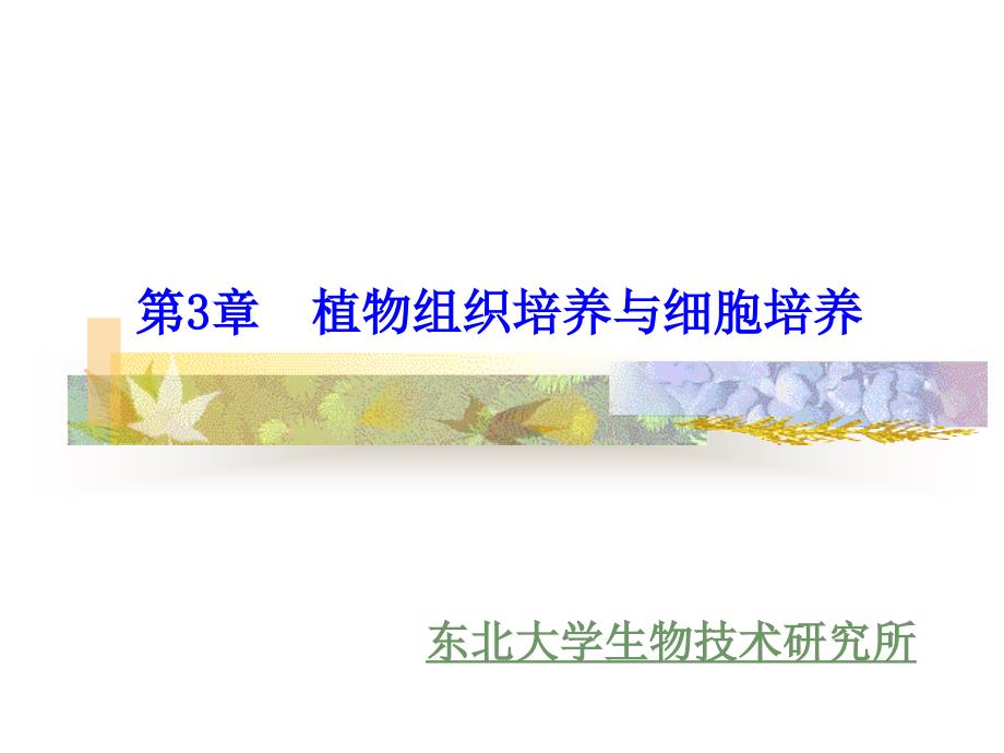 第3章-植物组织培养与细胞.._第1页