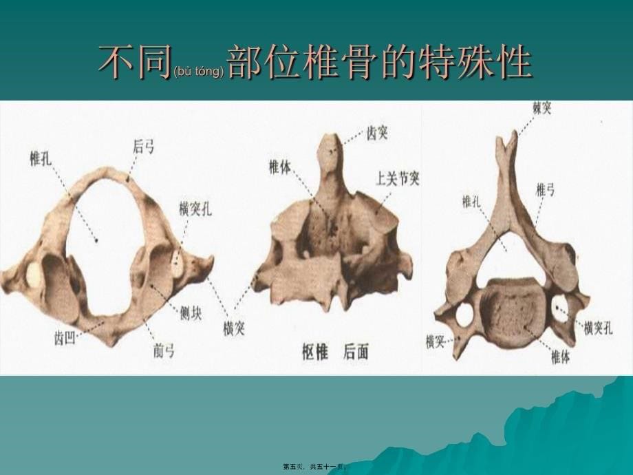 医学专题—急性脊髓损伤13553_第5页