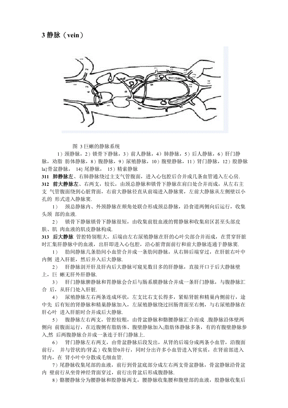 巨晰的循环系统及其对环境的适应_第4页