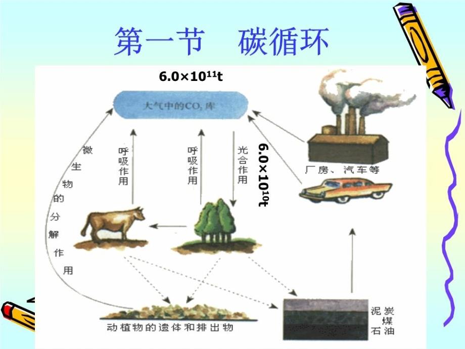 《环境工程微生物》PPT课件.ppt_第2页