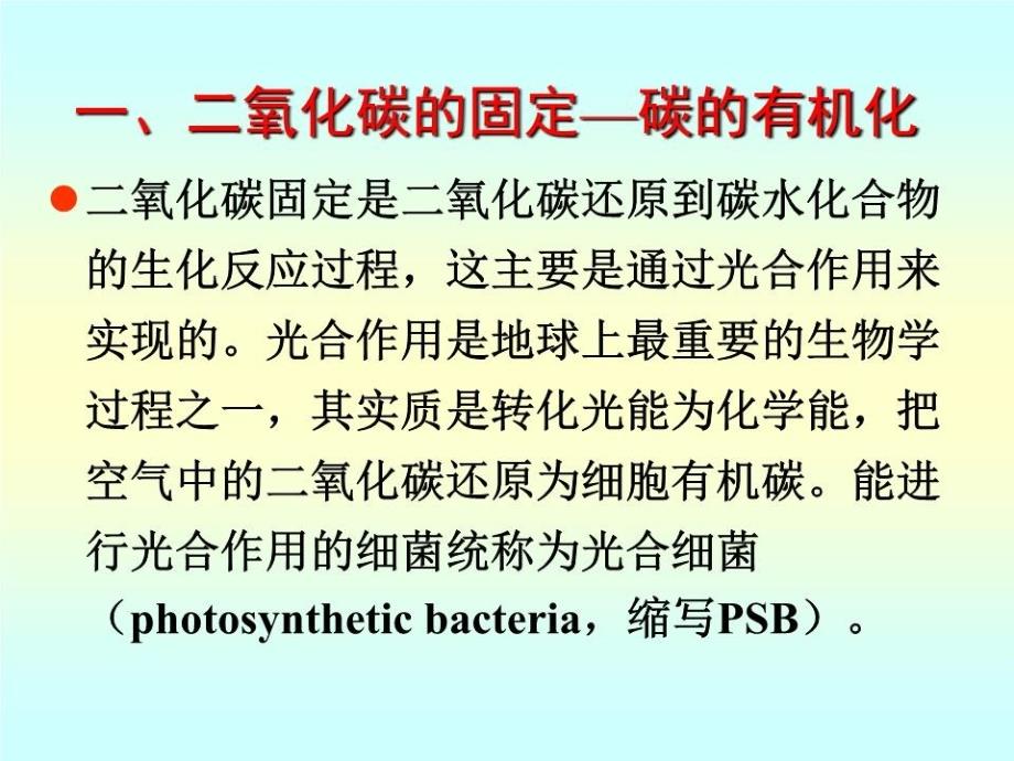 《环境工程微生物》PPT课件.ppt_第3页