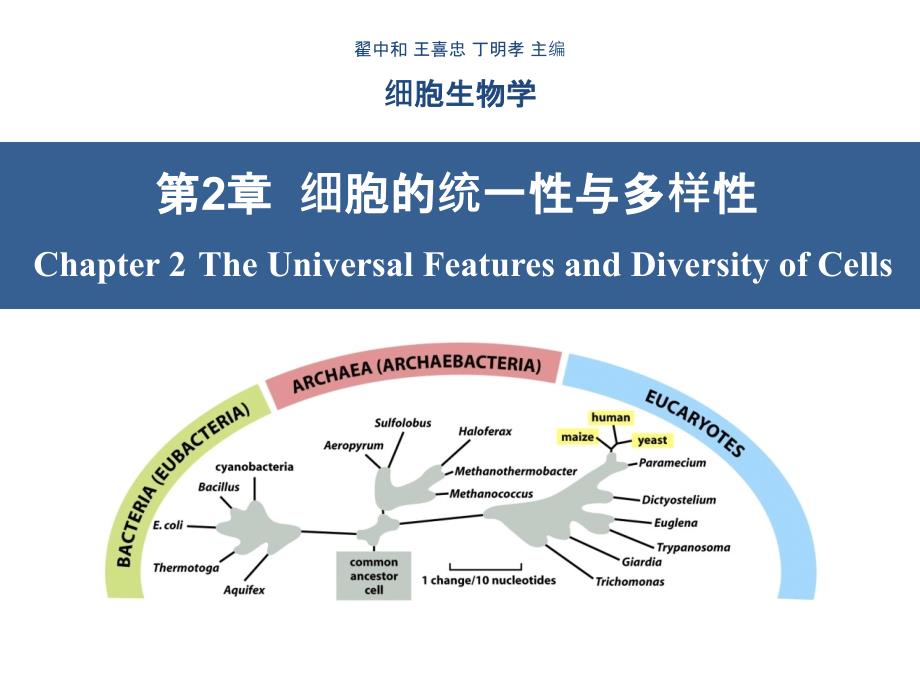 细胞生物学-翟中和编-第2章-细胞的统一性与多样性ppt课件_第1页