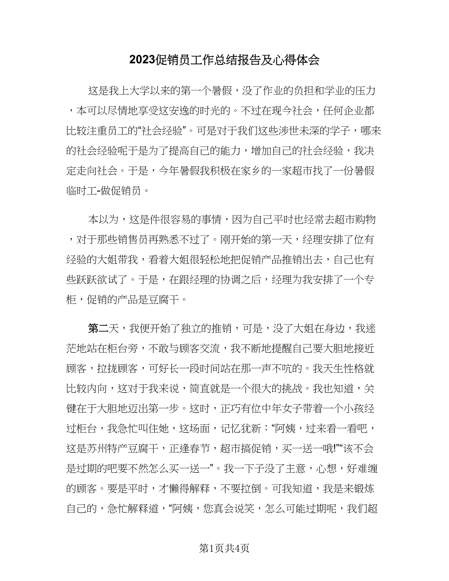 2023促销员工作总结报告及心得体会（二篇）.doc_第1页