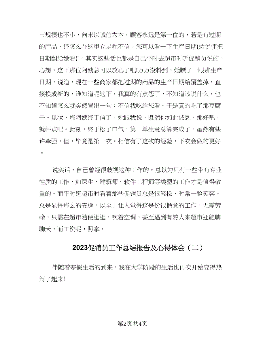 2023促销员工作总结报告及心得体会（二篇）.doc_第2页