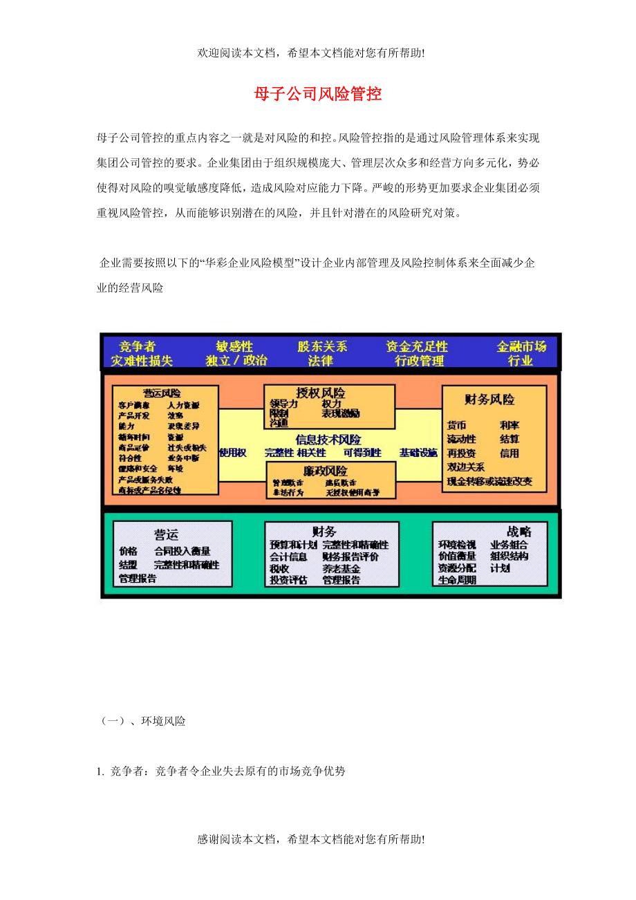 母子公司风险管控_第1页