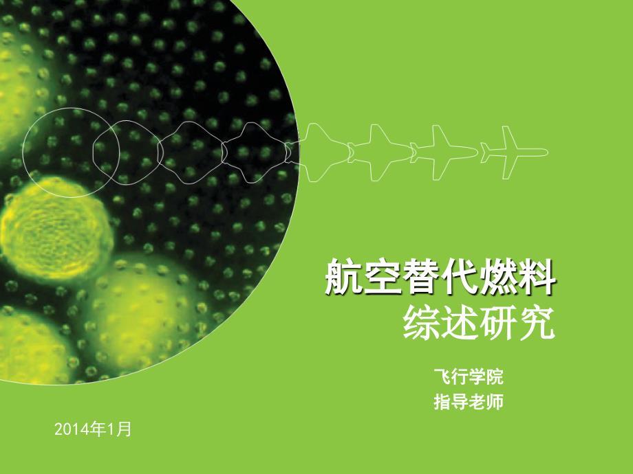 毕业答辩-航空替代燃料综述研究