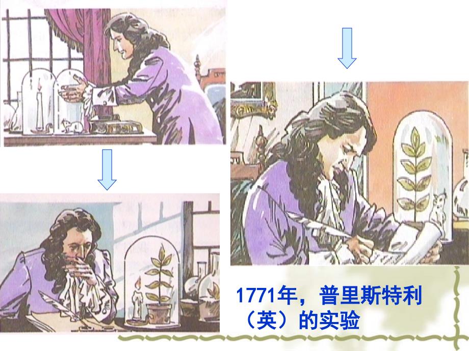 植物光合作用高中_第3页