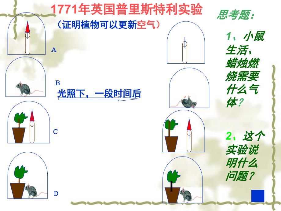 植物光合作用高中_第4页