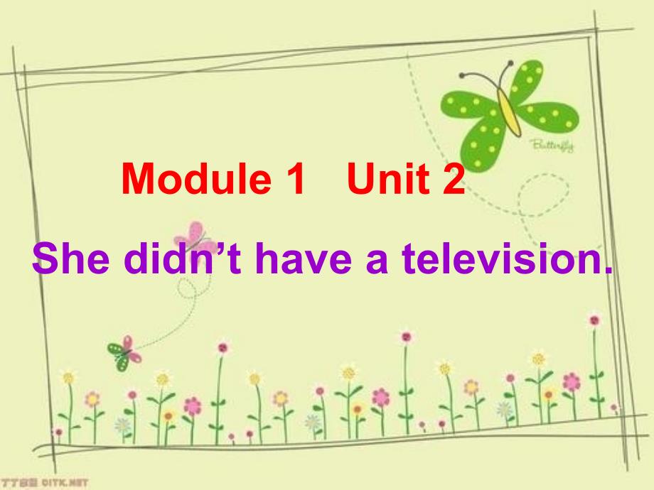 五年级下Module_1_Unit_2_she_didn27t_have_a_television_第1页