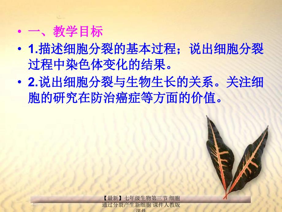 最新七年级生物第三节细胞通过分裂产生新细胞课件人教版课件_第2页