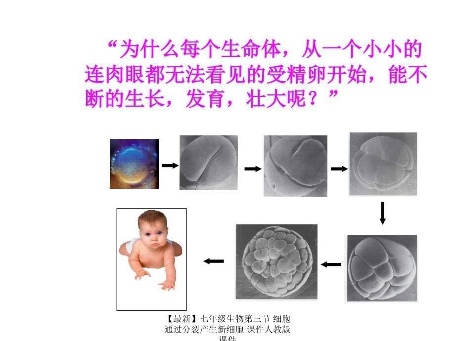 最新七年级生物第三节细胞通过分裂产生新细胞课件人教版课件_第5页